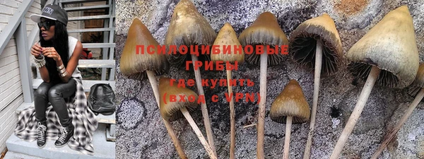 шишки Алексеевка
