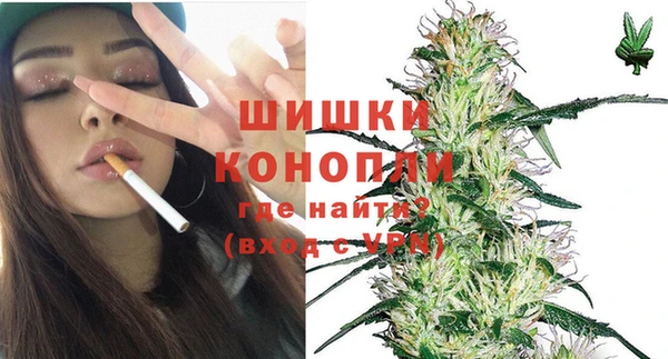 шишки Алексеевка